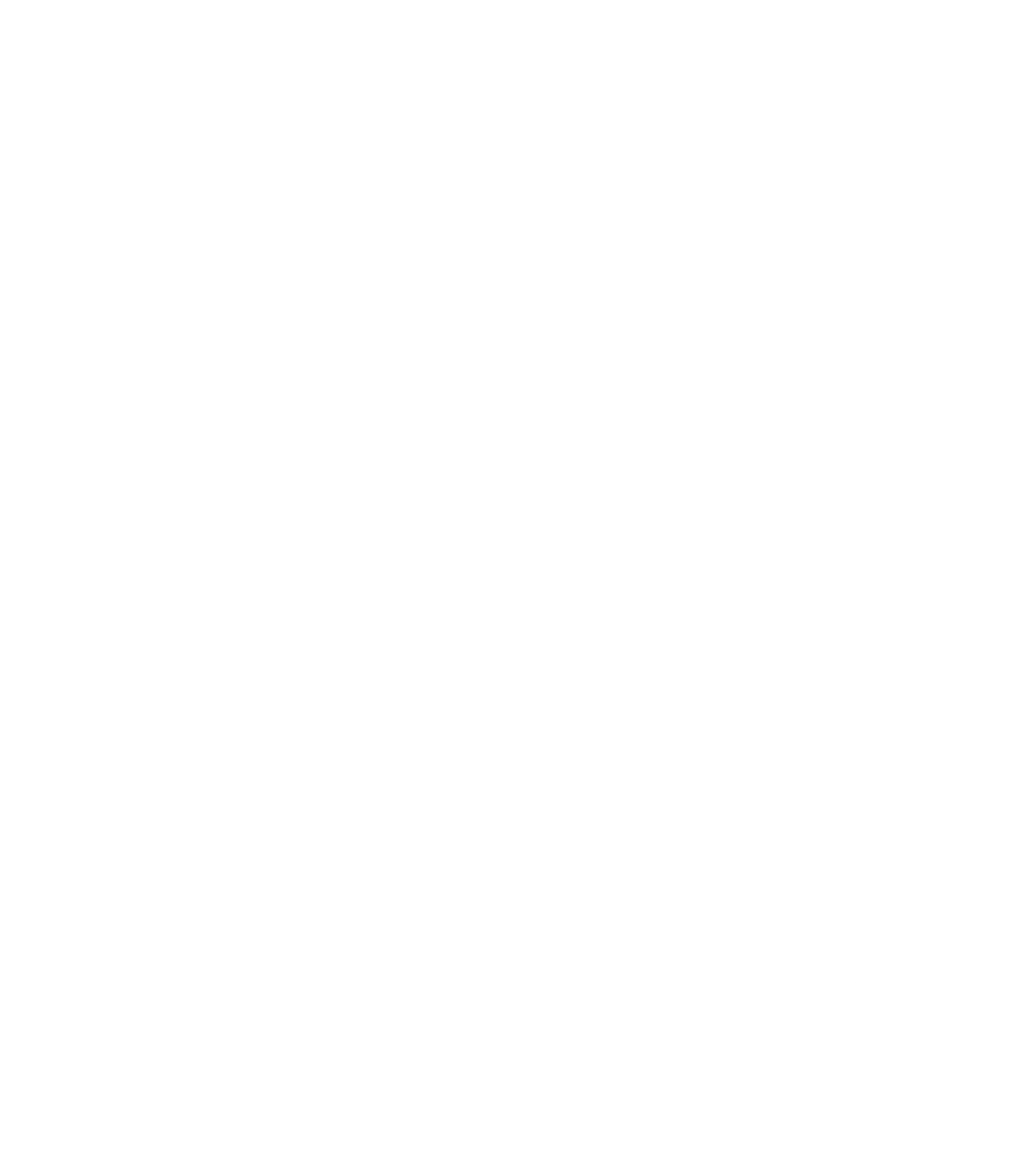 Youth Voice Map